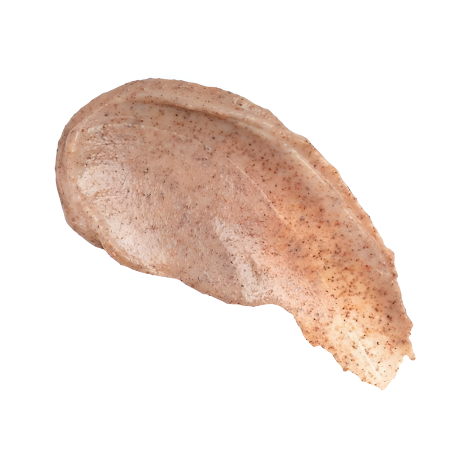 Brow Scrub - Papaya - Image 4