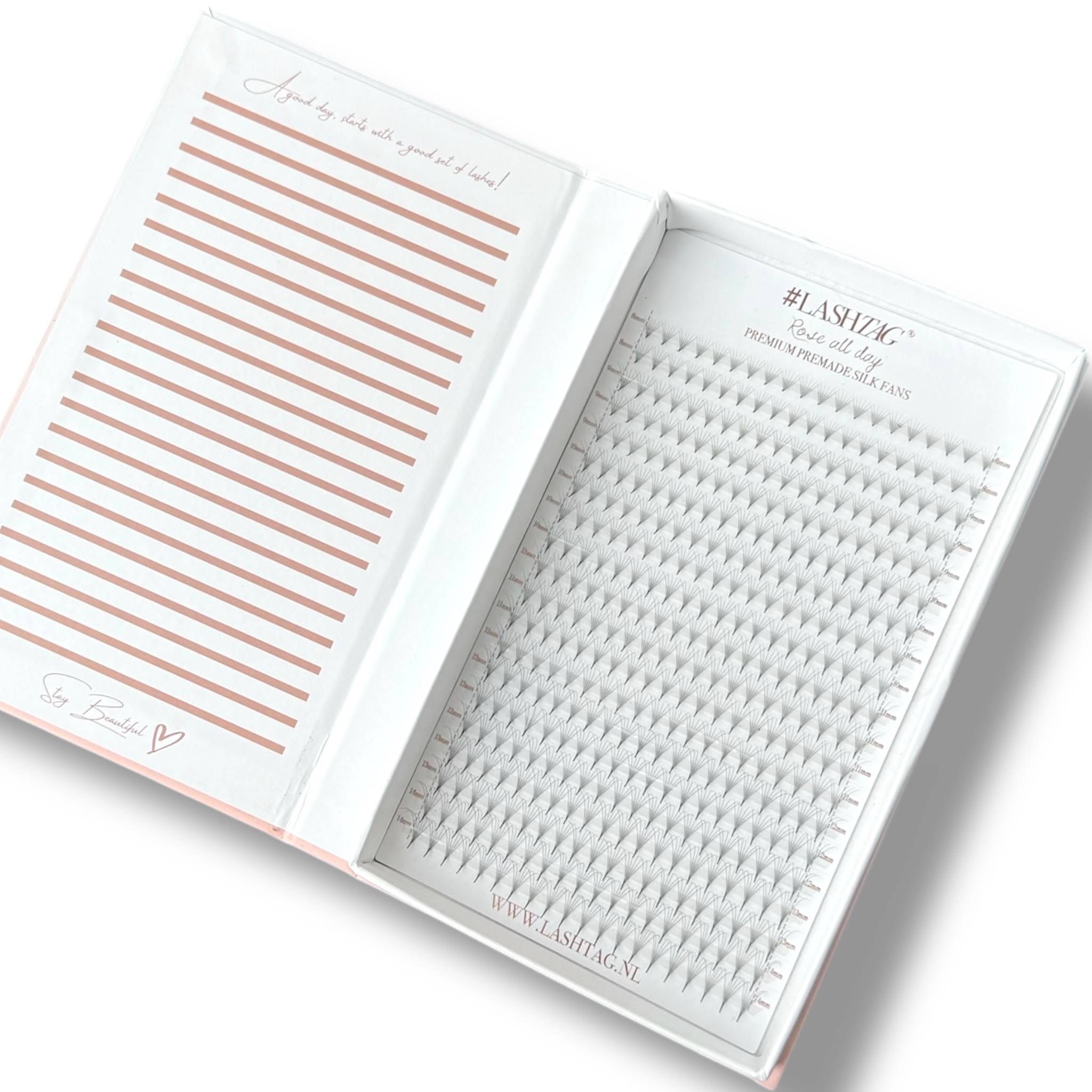 Rose All Day | Premium Premade Silk Fans | 6D | D Curl BOX